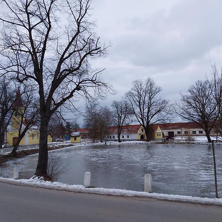 Ubytovani U Dvoraku Veselí nad Lužnicí Dış mekan fotoğraf
